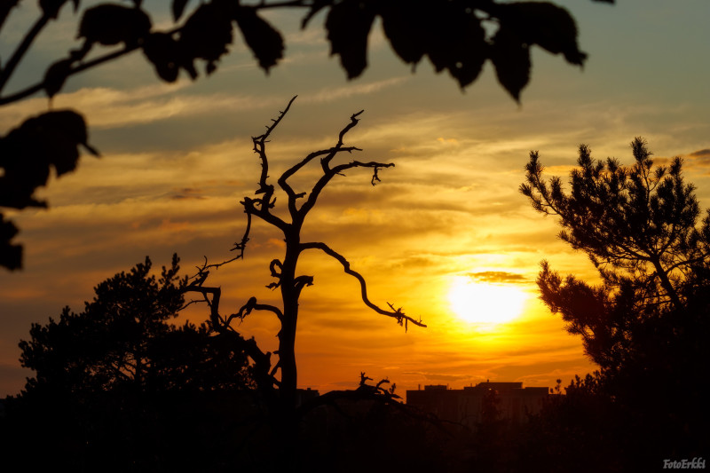 Auringonlasku Espoossa